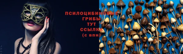 спайс Белая Холуница