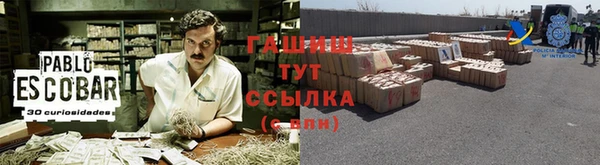 мдпв Богородицк