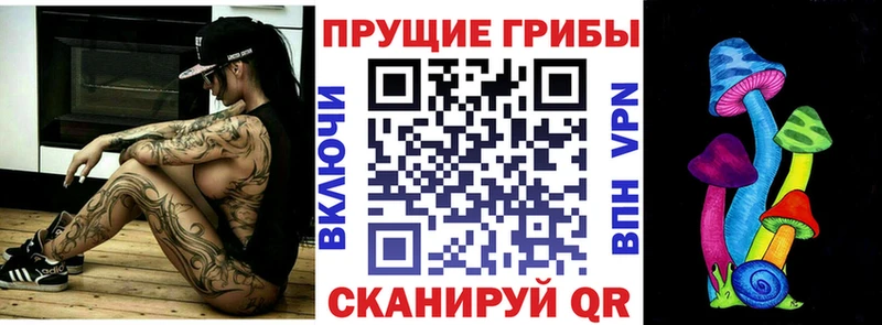 где продают Бузулук Галлюциногенные грибы Psilocybe